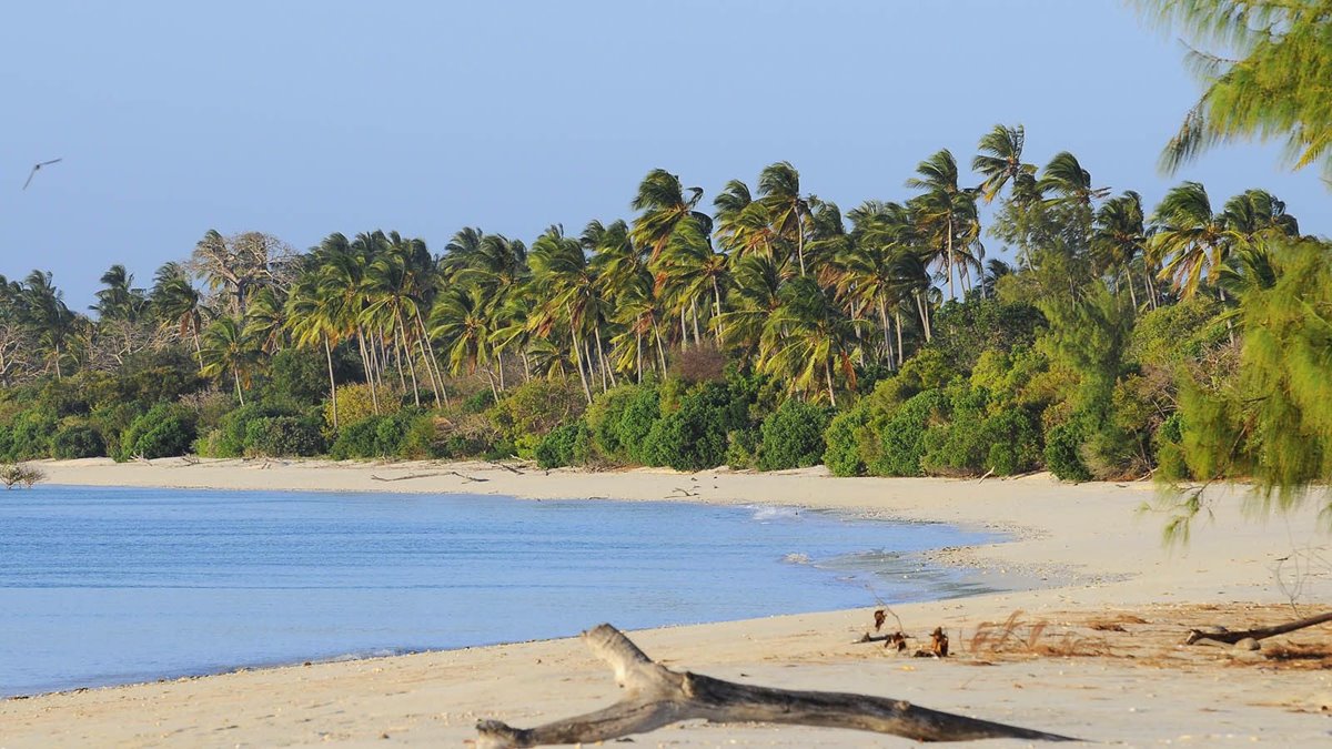 mafia island | LAT.40