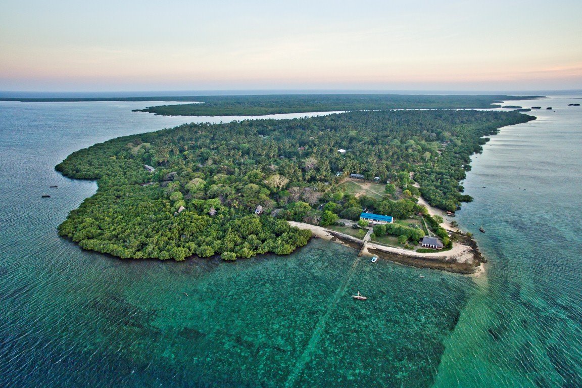 mafia island | LAT.40