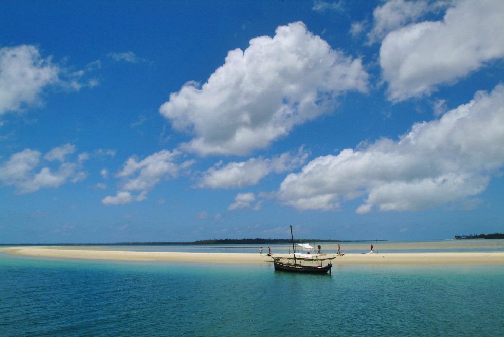 mafia island | LAT.40