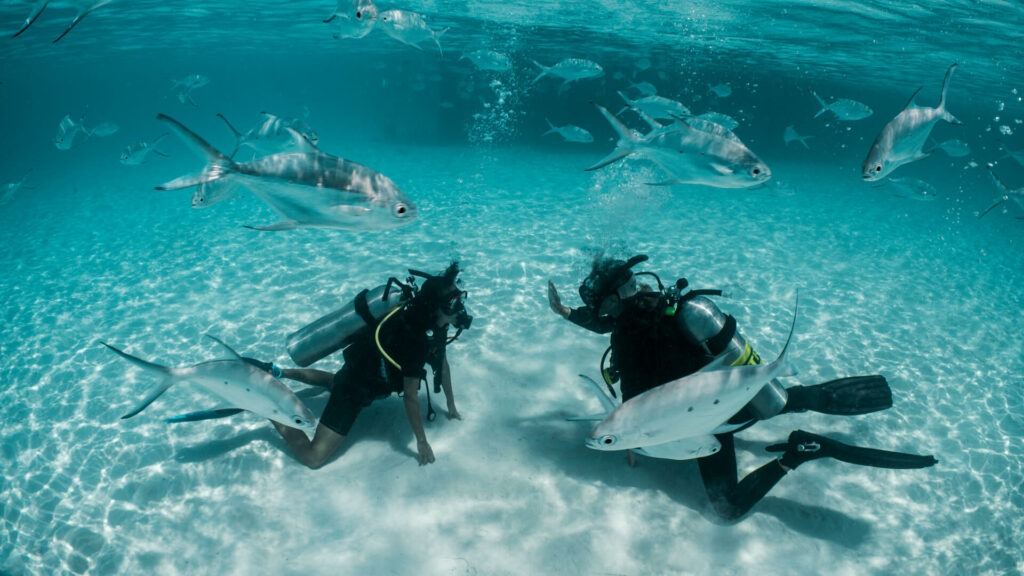 Finolhu Maldivas en Baa Atoll