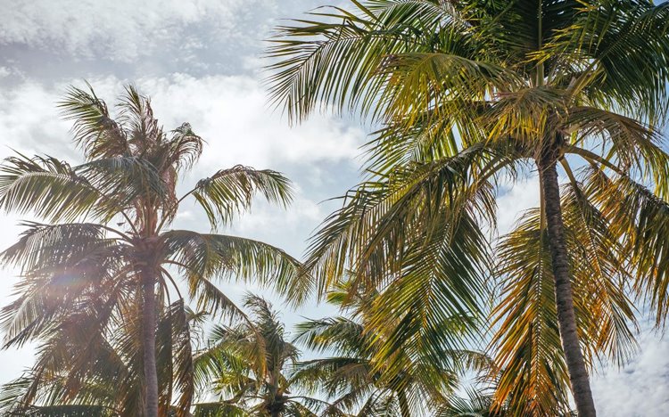 Finolhu Maldivas en Baa Atoll