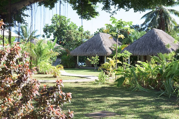 Imagen de viaje LAT.40
