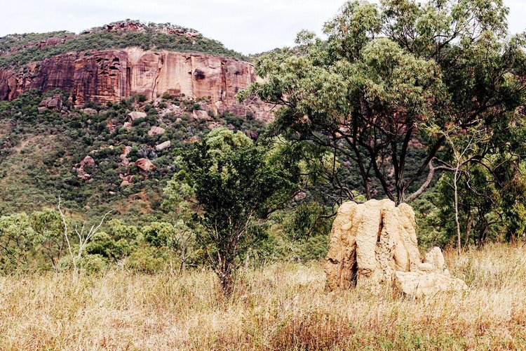 Mount Mulligan | LAT.40