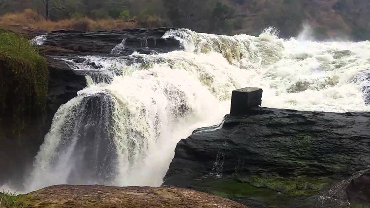 Murchison Falls National Park | LAT.40