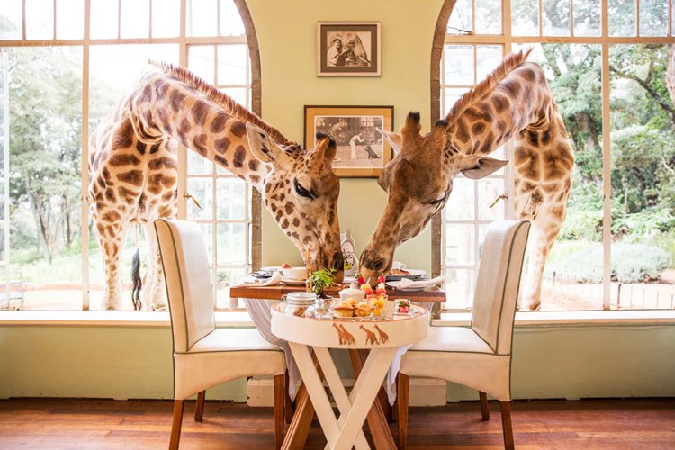 Nairobi