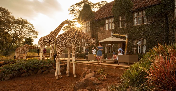 Kenya, Tanzania y Fanjove diseñado por LAT.40