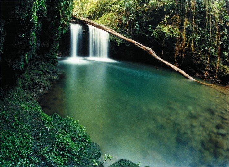 Parque Nacional Braulio Carrillo | LAT.40