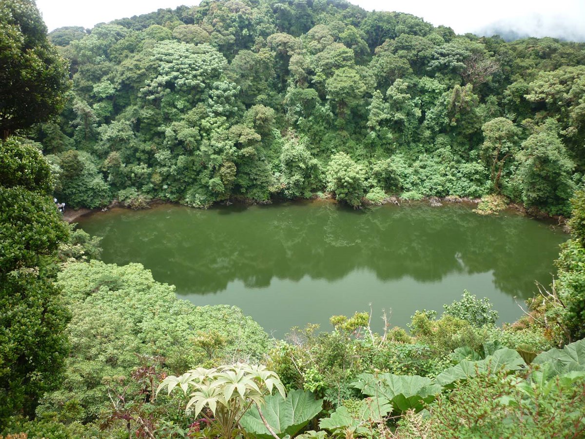 Parque Nacional Braulio Carrillo | LAT.40