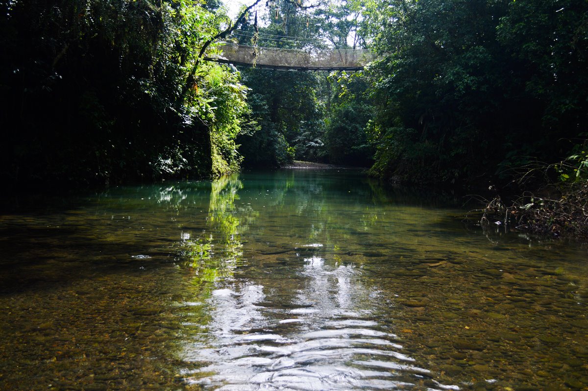 Parque Nacional Braulio Carrillo | LAT.40