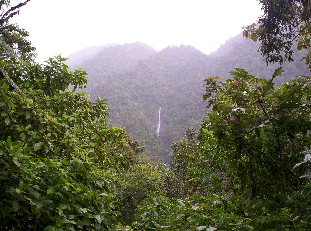 Parque Nacional Braulio Carrillo | LAT.40