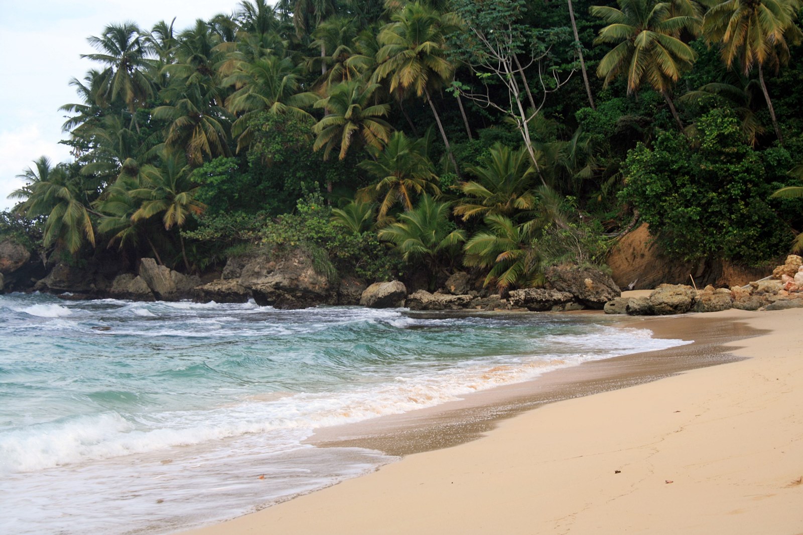 Playa Grande  | LAT.40