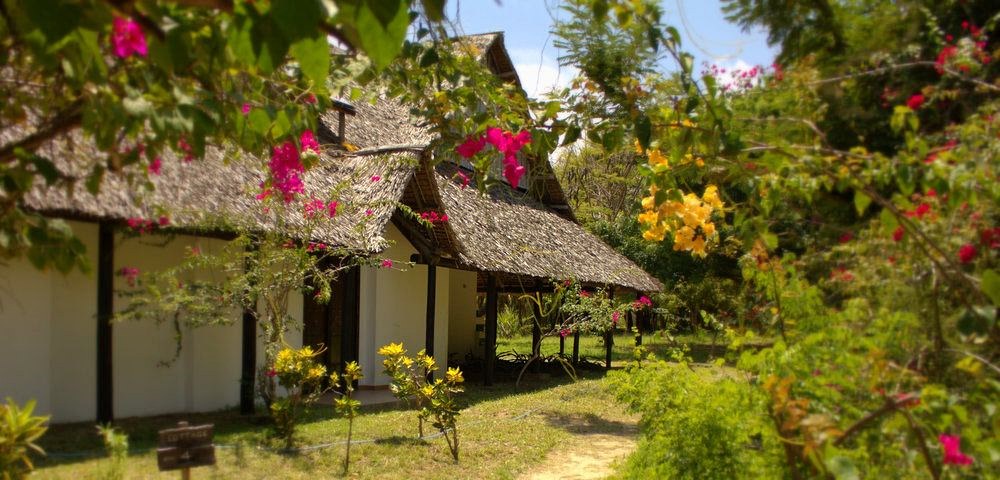 Imagen de viaje LAT.40
