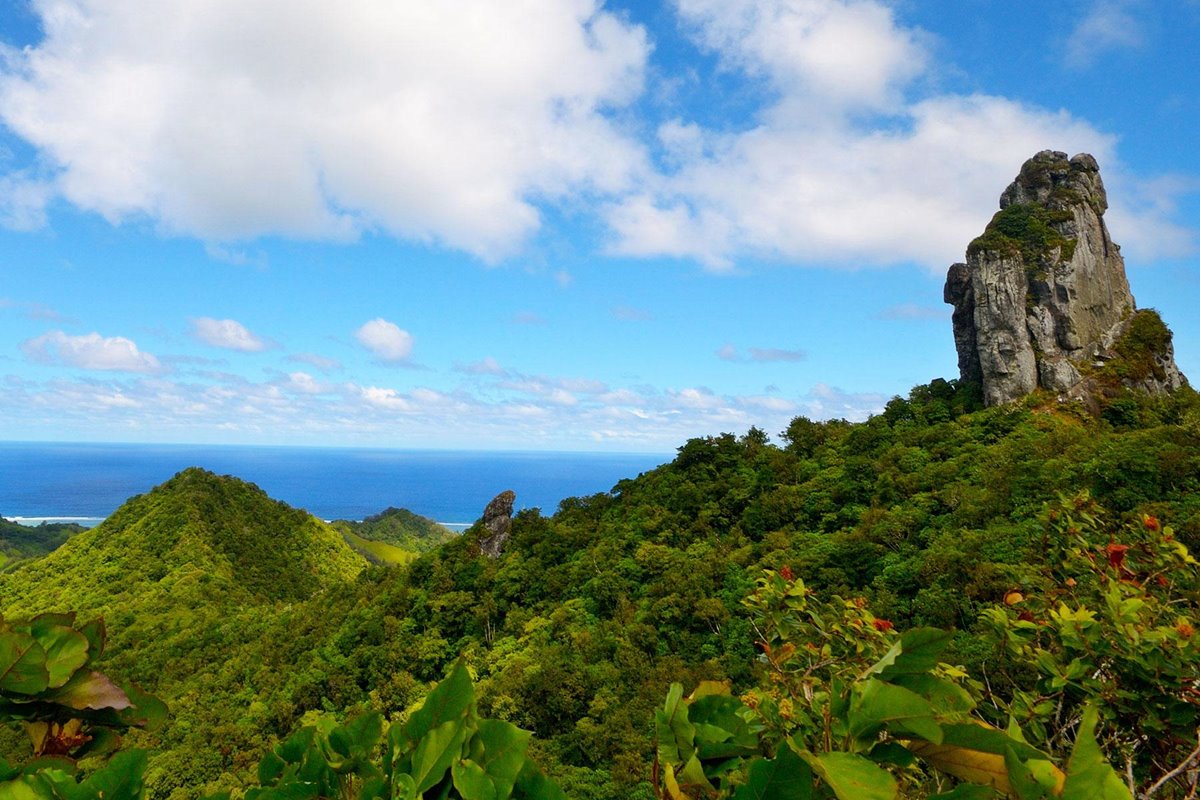 Rarotonga | LAT.40