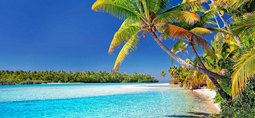 Rarotonga | LAT.40