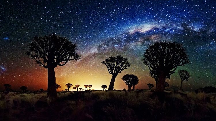 Reserva Natural de NamibRand | LAT.40