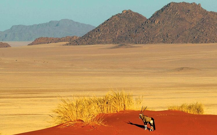 Reserva Natural de NamibRand | LAT.40