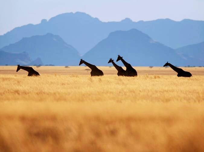 Reserva Natural de NamibRand | LAT.40