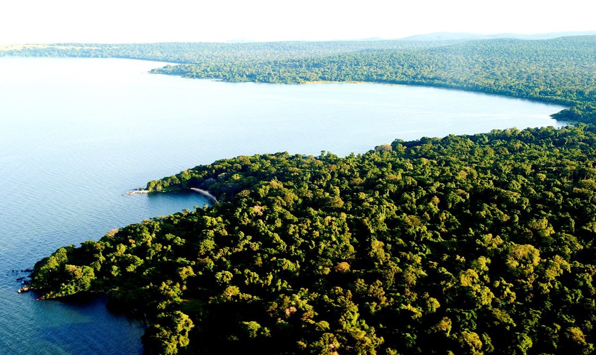 rubondo island | LAT.40