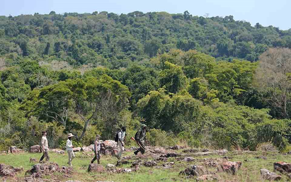 rubondo island | LAT.40