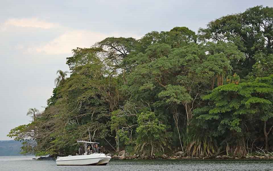 rubondo island | LAT.40