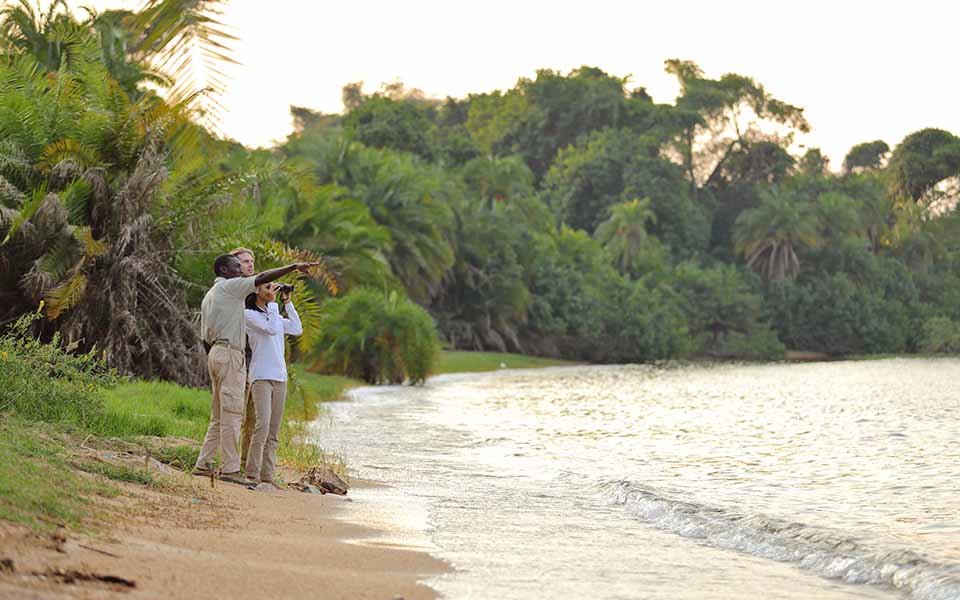 rubondo island | LAT.40