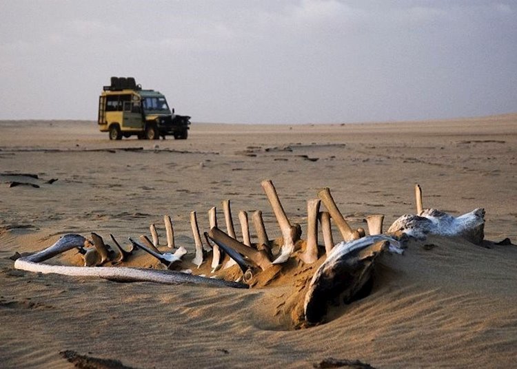 Skeleton Coast | LAT.40