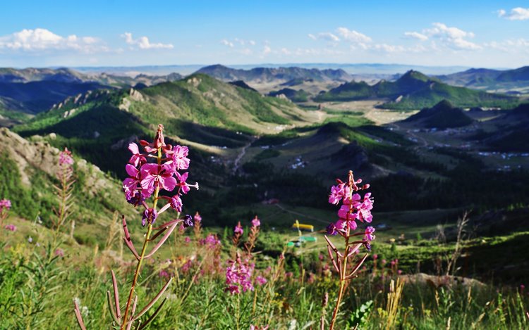 Terelj National Park | LAT.40