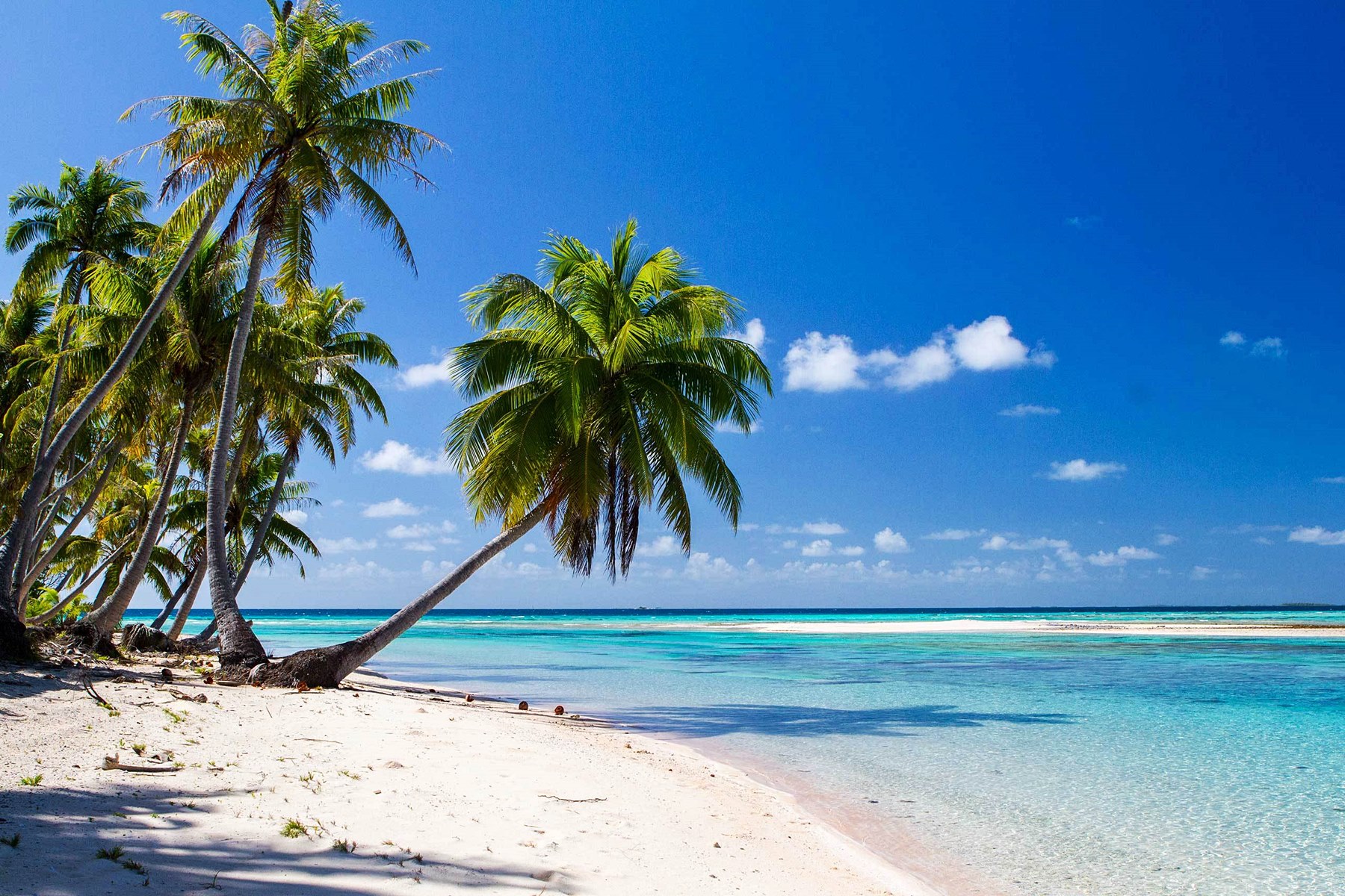 Motu Ninamu en Tikehau