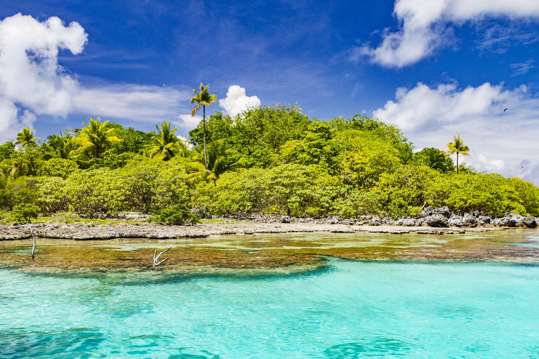 Motu Ninamu en Tikehau