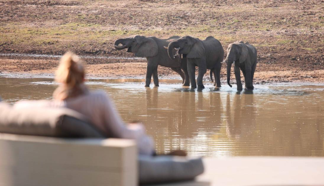 Luangwa Valley