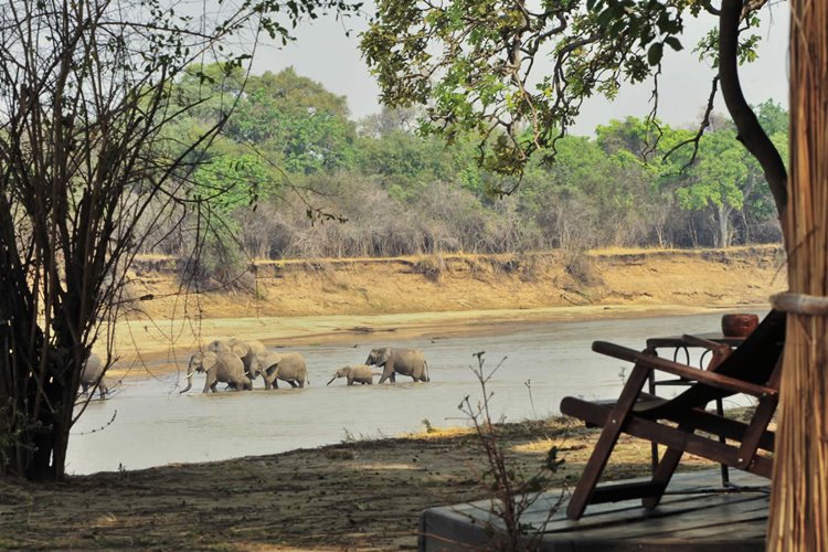 Luangwa Valley