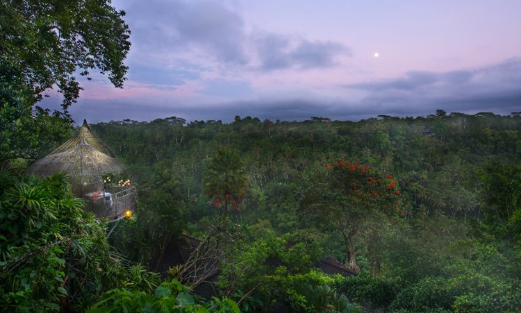 4 noches Ubud Kupu Kupu Barong Villas diseñado por LAT.40