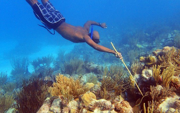 Oil Nut Bay en Virgen Gorda