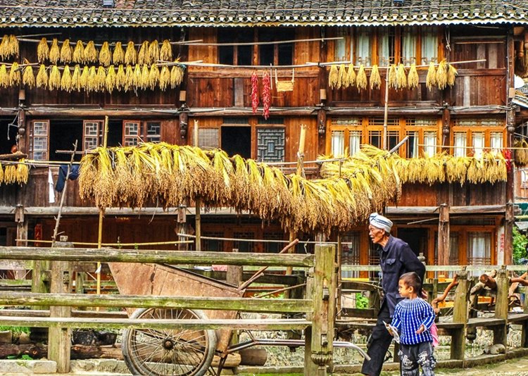 Zhaoxing | LAT.40