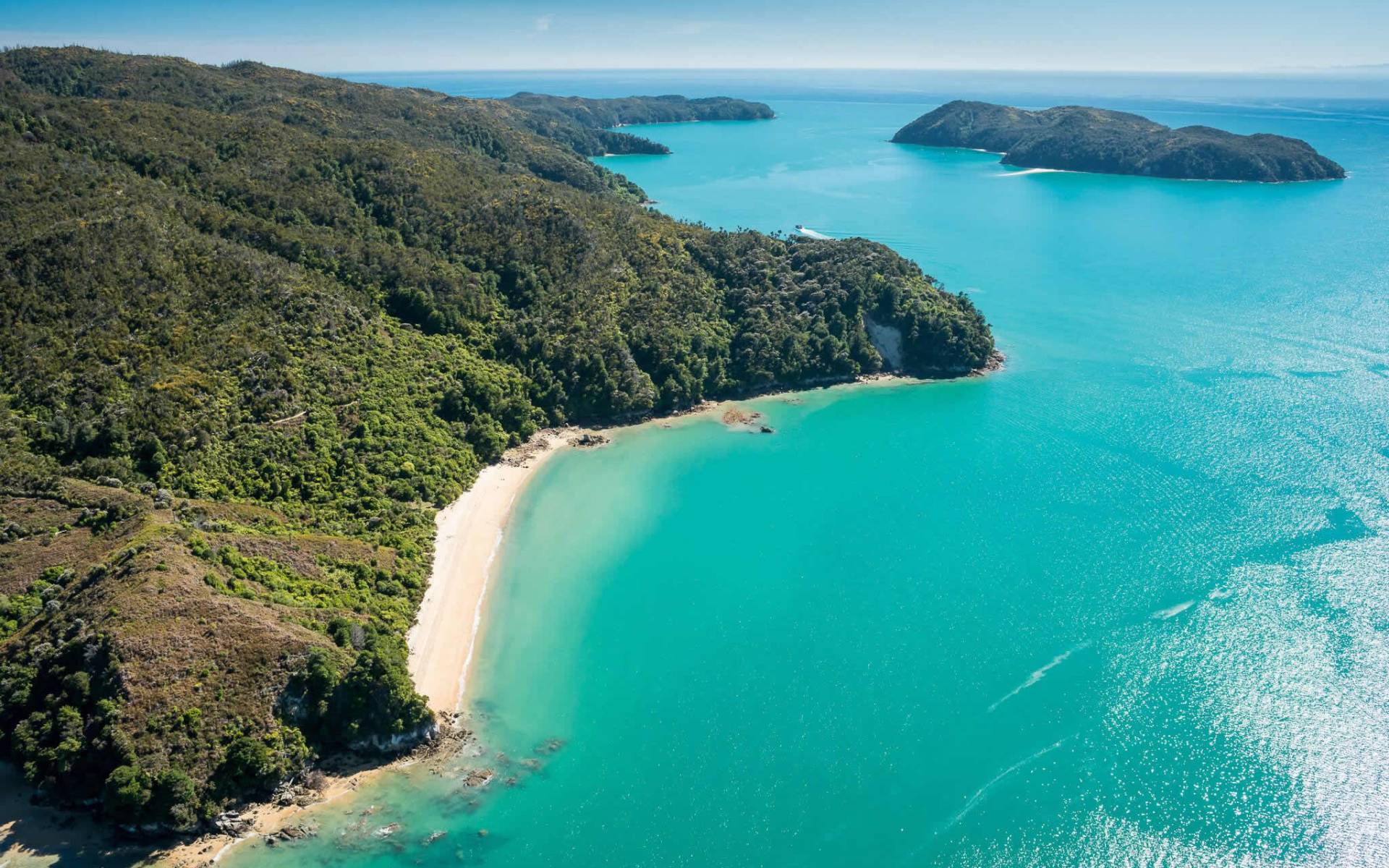 Abel Tasman