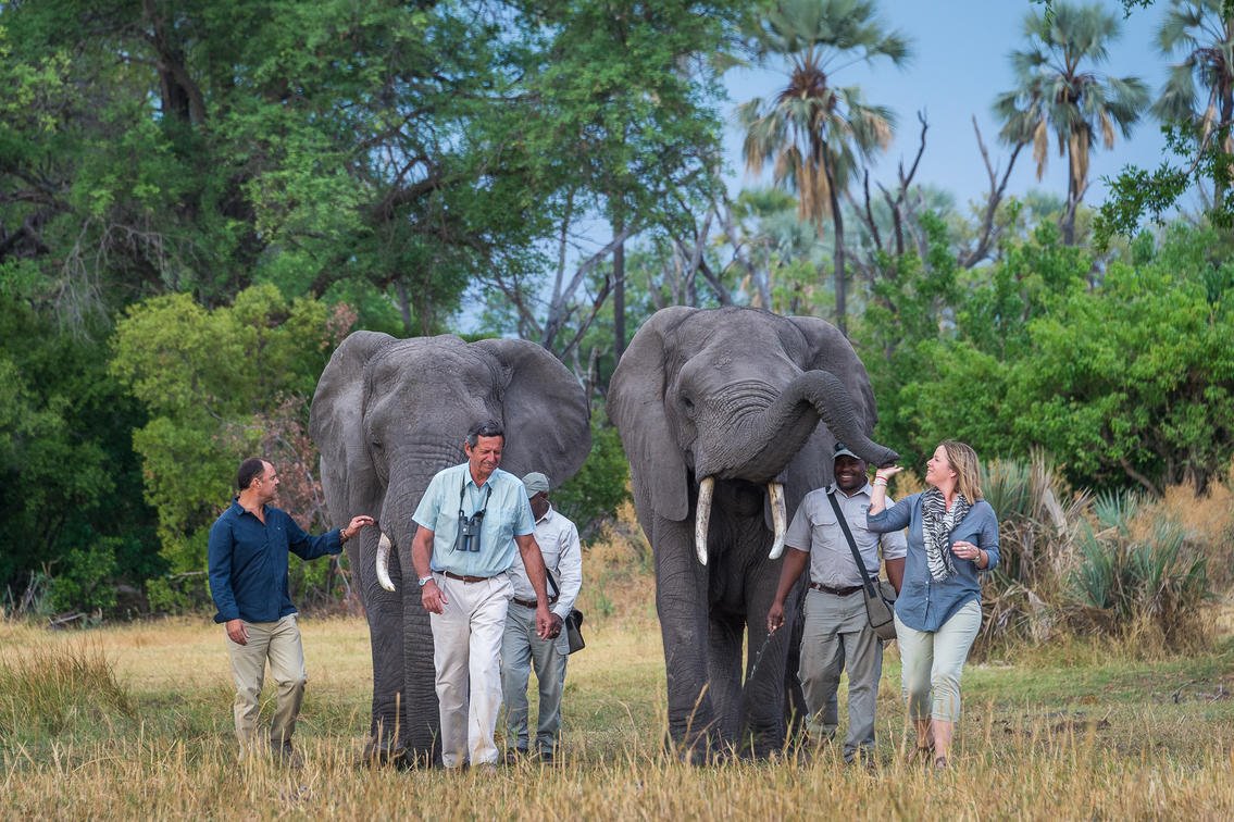 Abu Camp en Delta Okavango