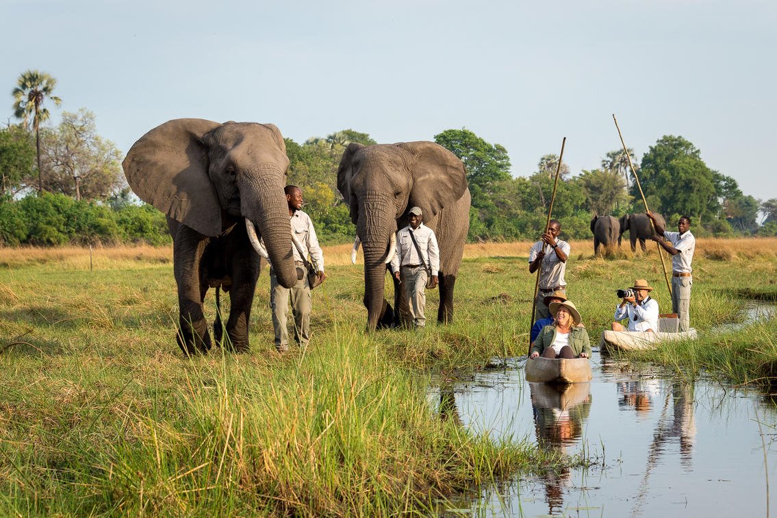 Abu Camp en Delta Okavango