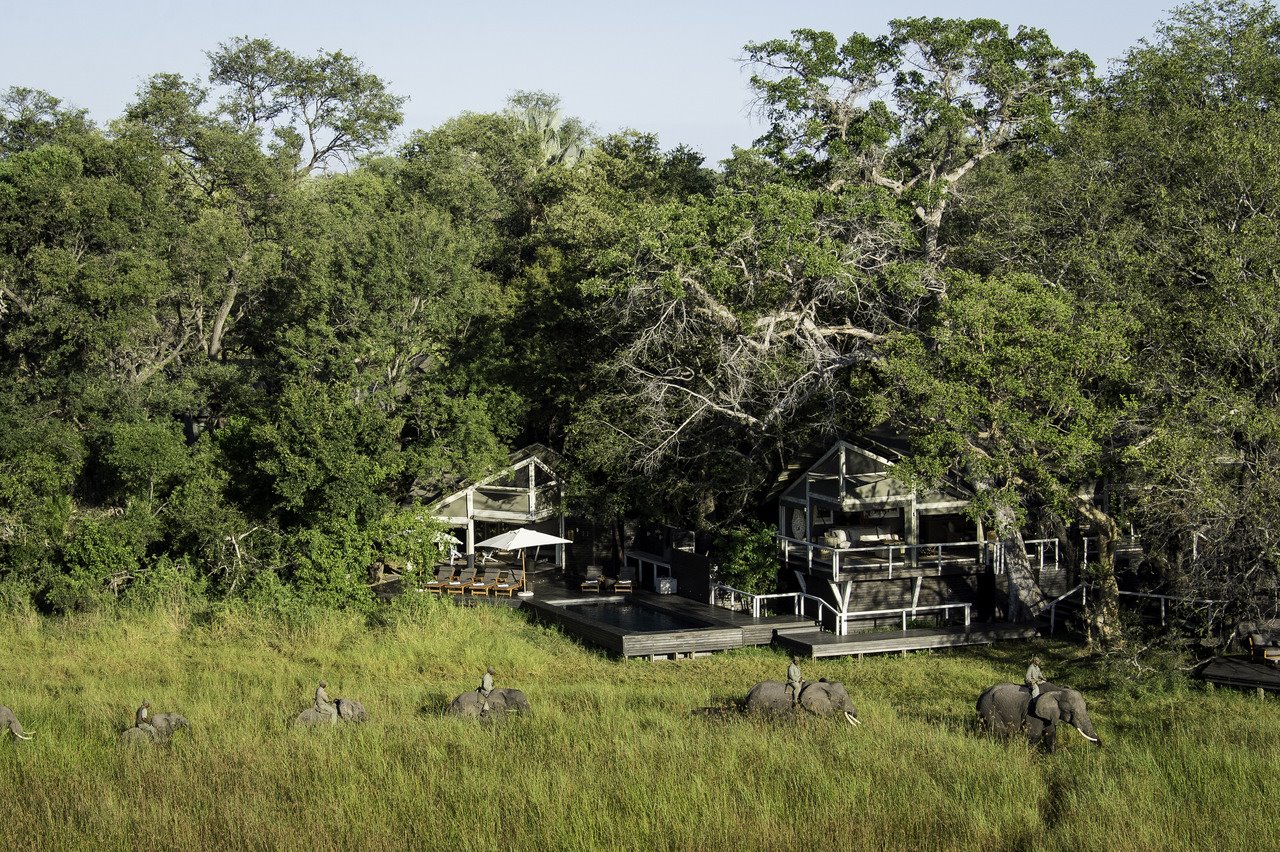Abu Camp en Delta Okavango