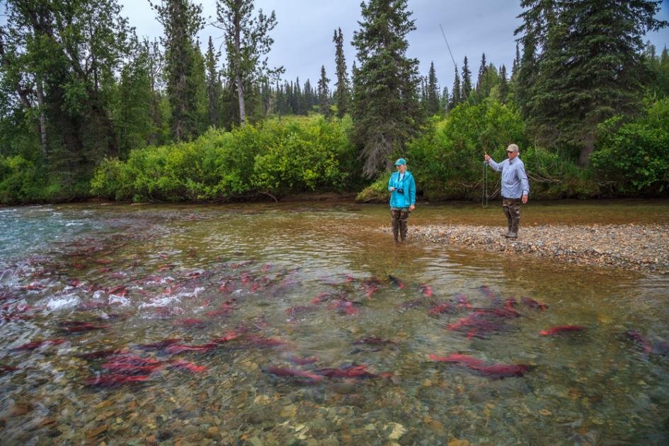 Winterlake Lodge en Alaska