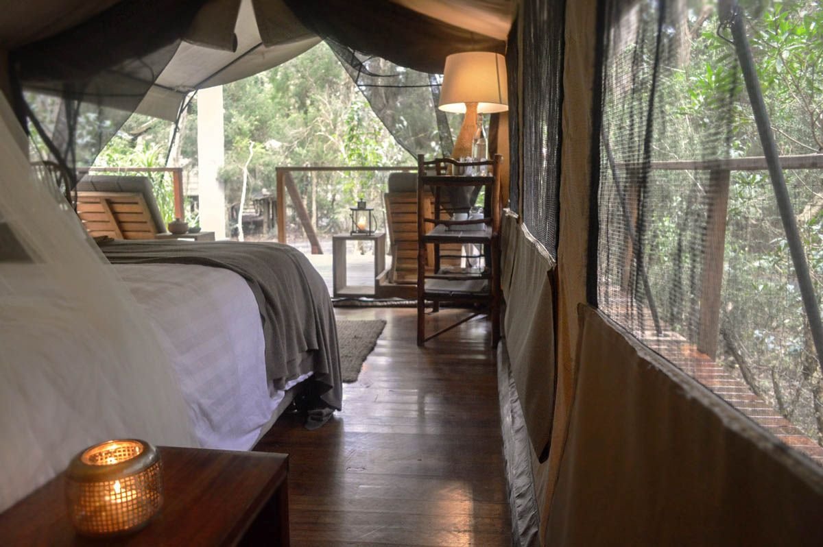 Paperbark Camp en Australia