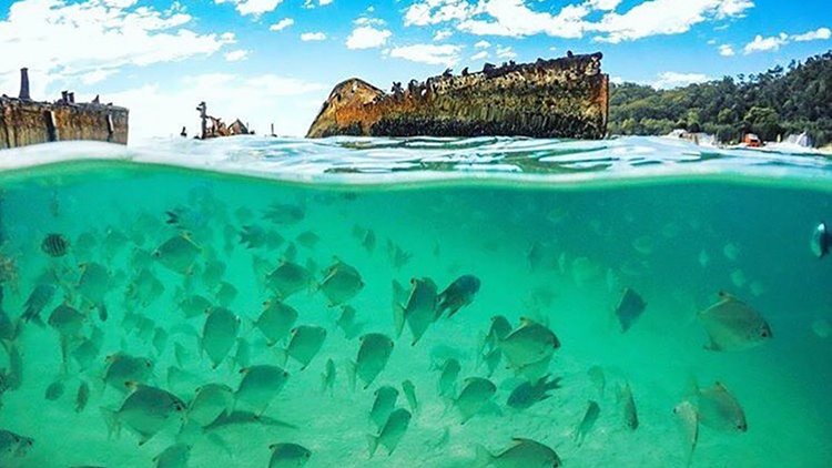 Tangalooma Island Resort en Australia