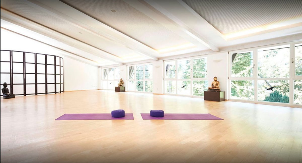 Ayurveda Parkschlosschen en Alemania