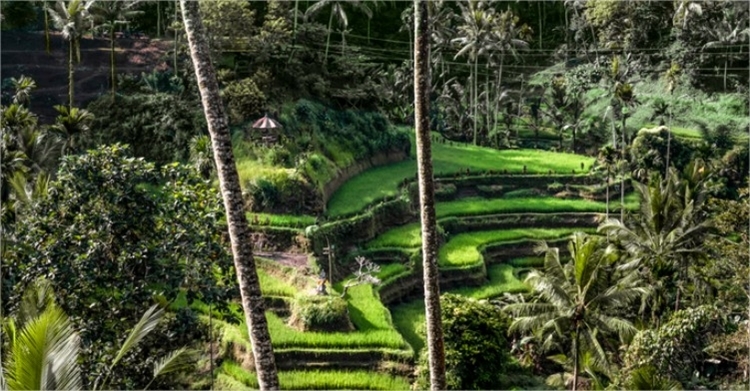 Amandari en Ubud