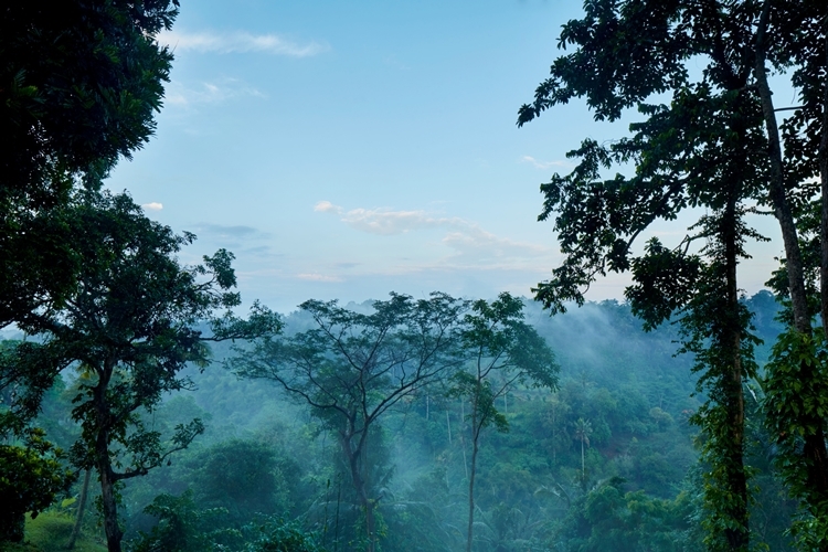 Amandari en Ubud