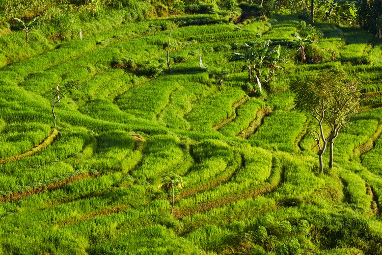 Amankila en Manggis