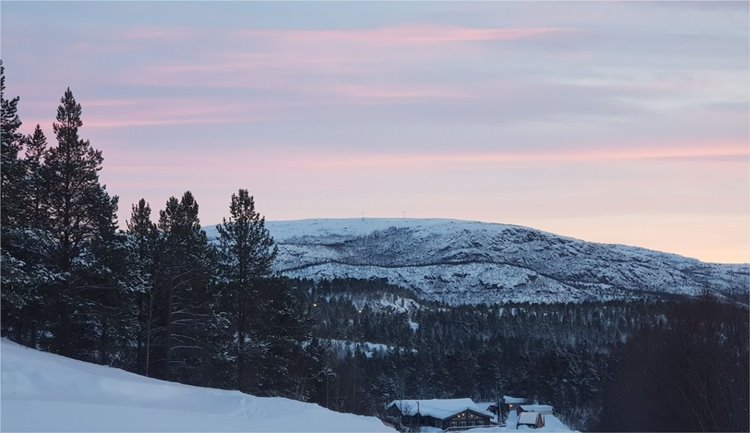 Bjornfjell Mountain Lodge en Norway
