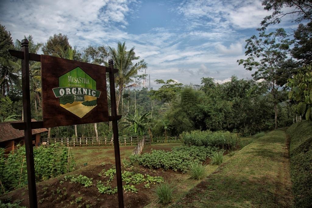 MesaStila Resort en Borobudur
