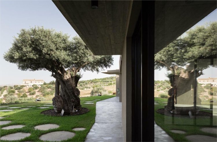 Buahjar Home  | LAT.40