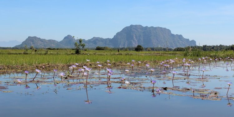 Keinnara Lodge Hpa-An en Burma