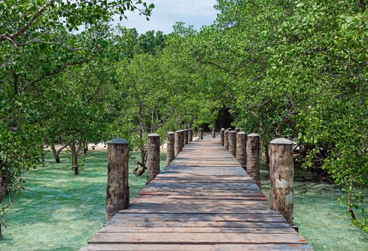 Wa Ale Resort en Burma